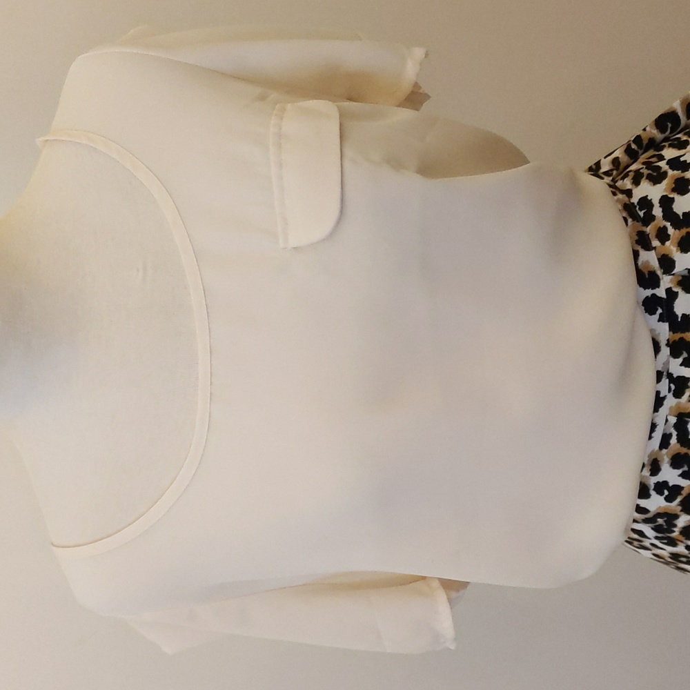 Chic Chiffon Blouse with Zipper in the back